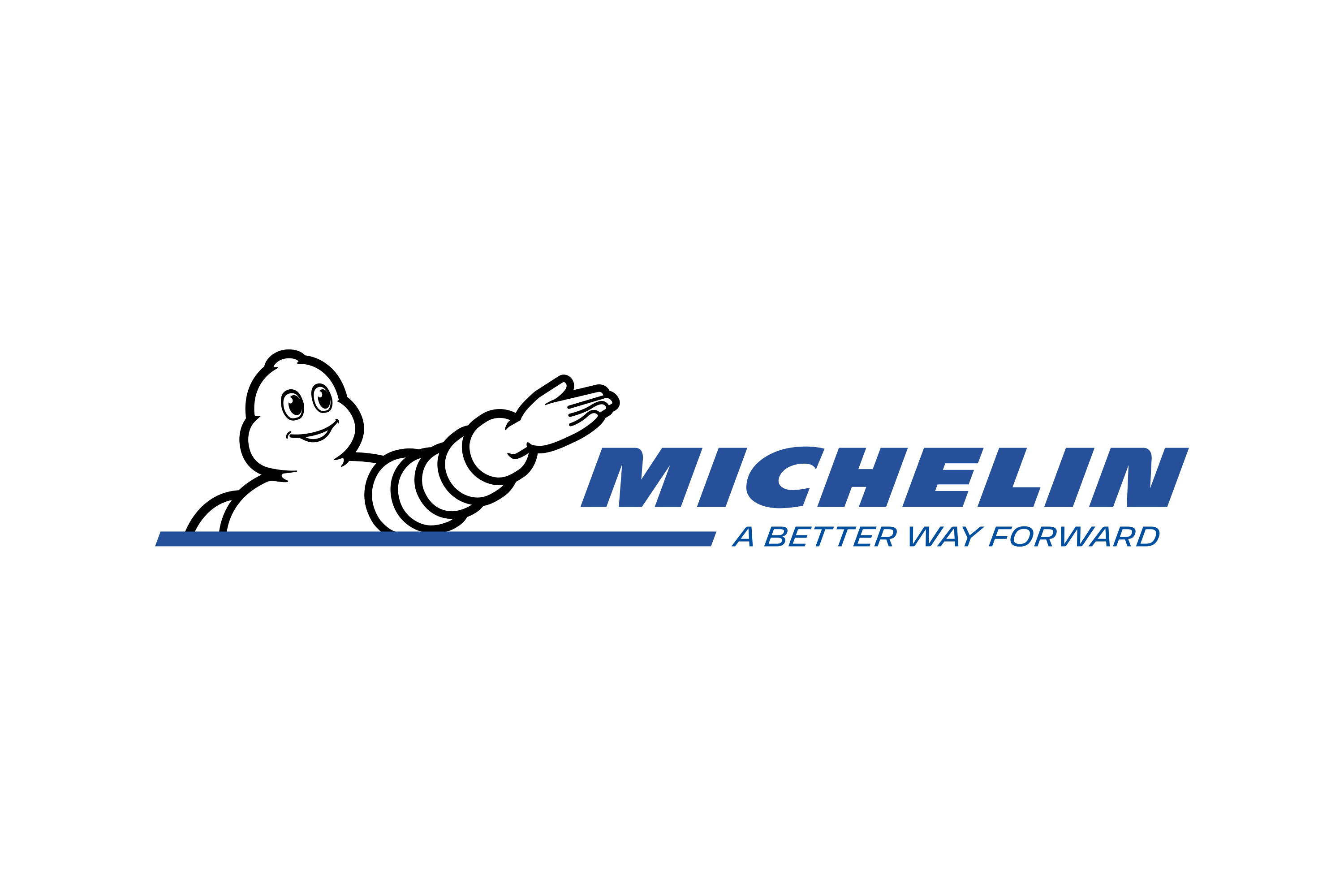 Michelin Logo